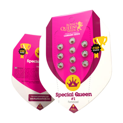 Special Queen #1 - RQS - Feminized