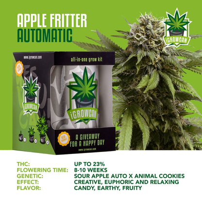 iGrowcan – Apple Fritter Automatic