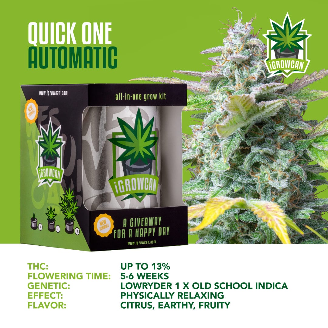 iGrowcan – Quick One Automatic
