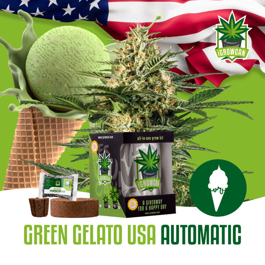 iGrowcan – Green Gelato Automatic