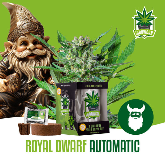 iGrowcan – Royal Dwarf Automatic