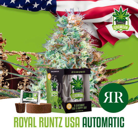 iGrowcan – Royal Runtz Automatic 